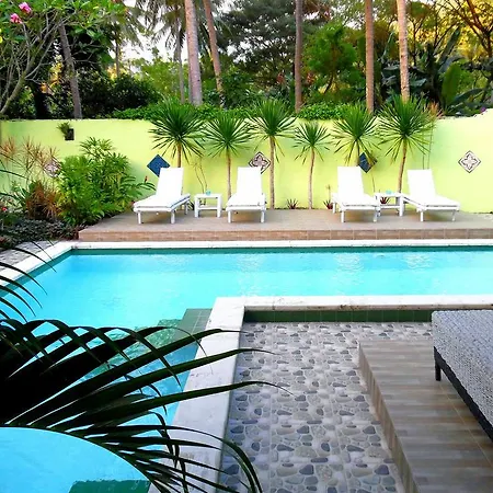 Lazy Monkey Hotel